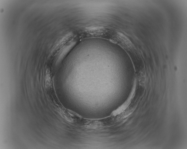 X0000067891298200604201259