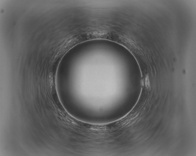 X0000067891299200604201259