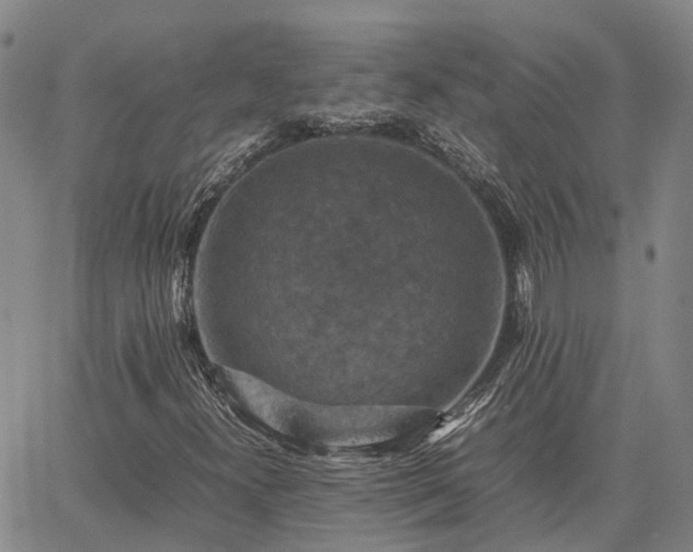 X0000067891300200604201259