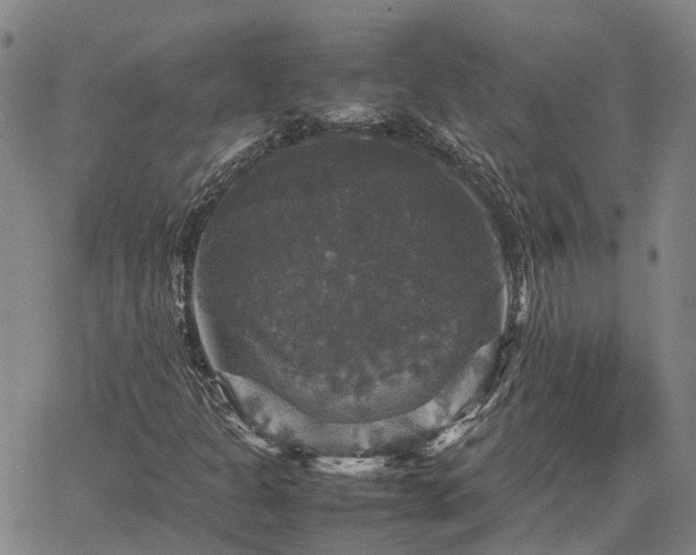 X0000067891301200604201259