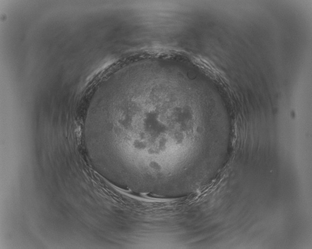 X0000067891302200604201259