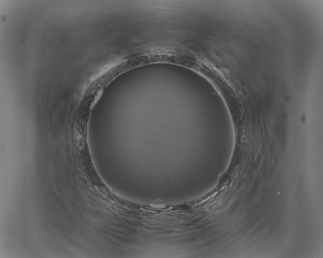 X0000067891303200604201259