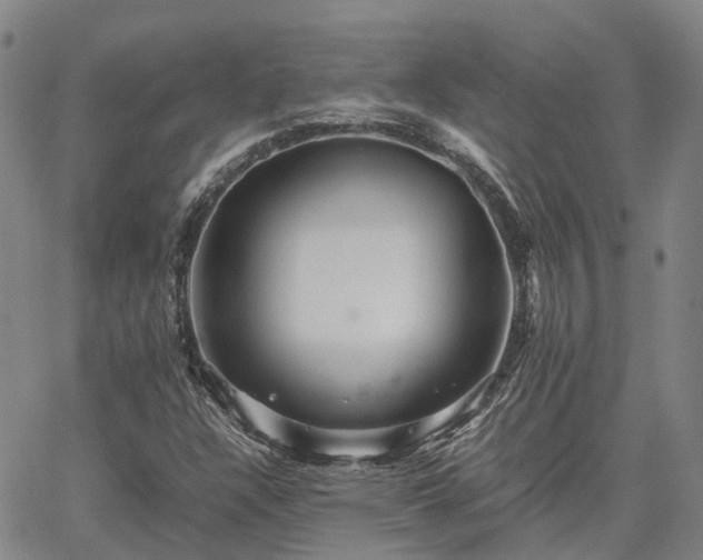 X0000067891304200604201259