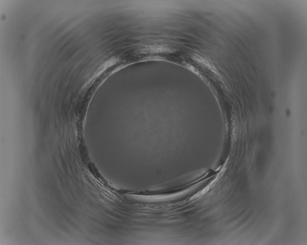 X0000067891305200604201259