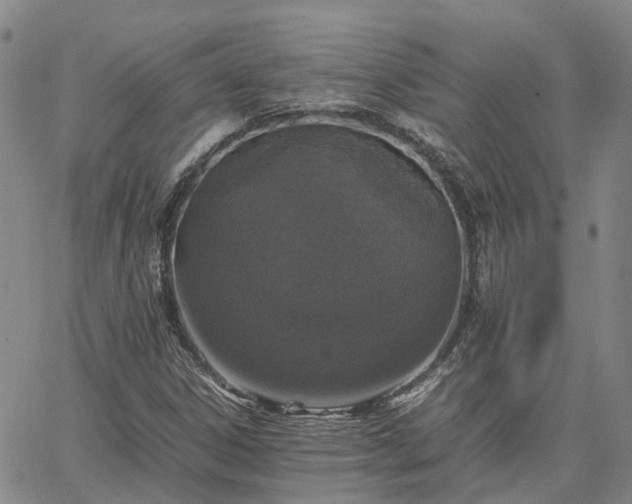 X0000067891306200604201259