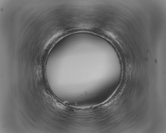 X0000067891307200604201259