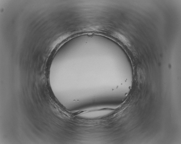 X0000067891308200604201259