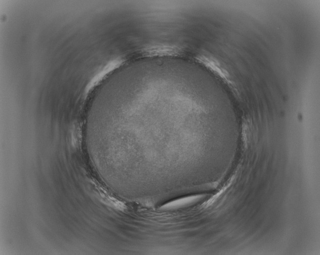 X0000067891309200604201259