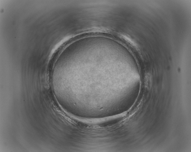 X0000067891310200604201259