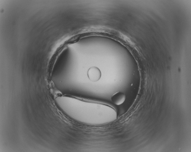 X0000067891312200604201259