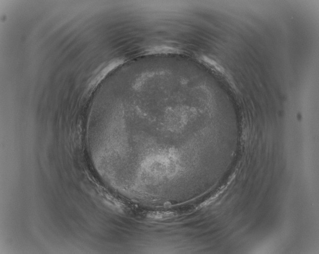 X0000067891313200604201259