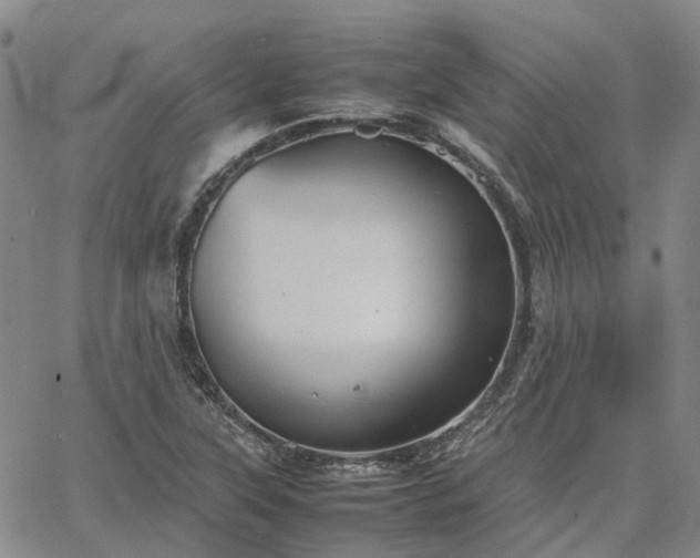 X0000067891315200604201259