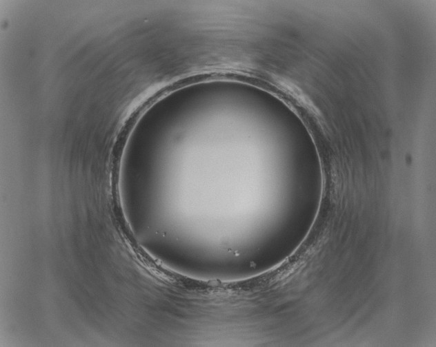 X0000067891316200604201259