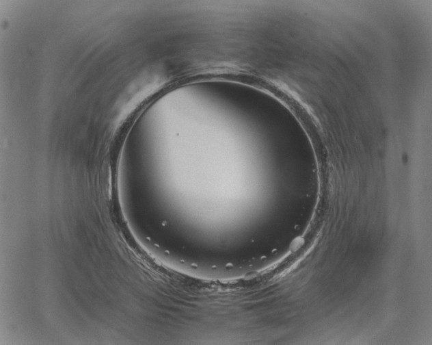 X0000067891317200604201259