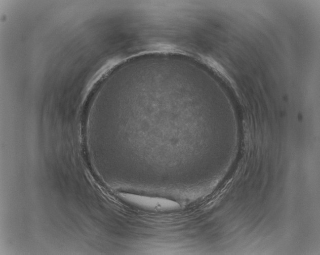 X0000067891318200604201259