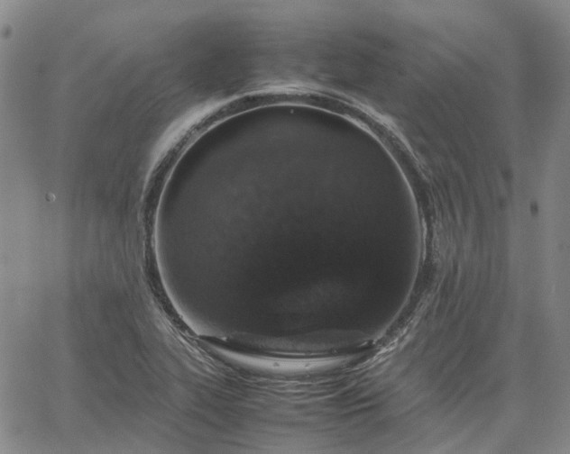 X0000067891319200604201259