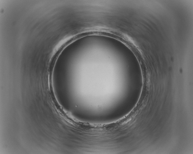 X0000067891320200604201259