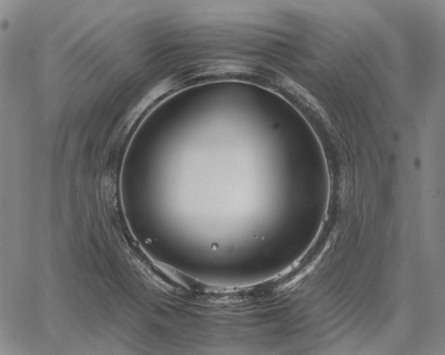 X0000067891321200604201259