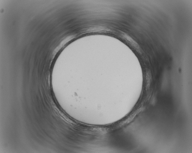 X0000067891322200604201259