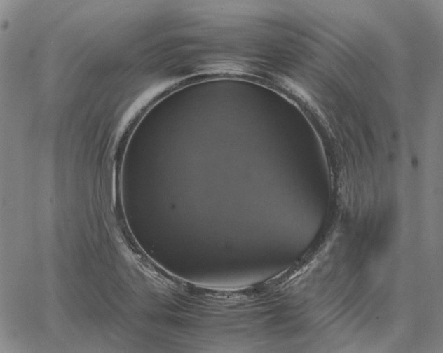 X0000067891323200604201259