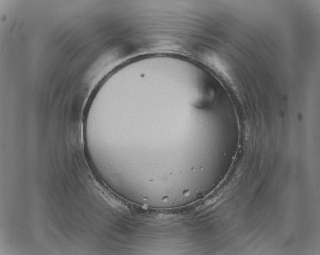 X0000067891324200604201259