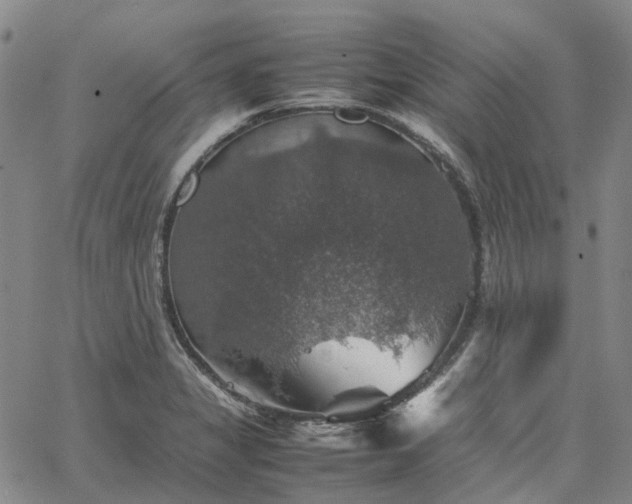 X0000067891325200604201259