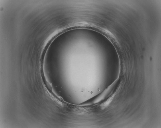 X0000067891326200604201259