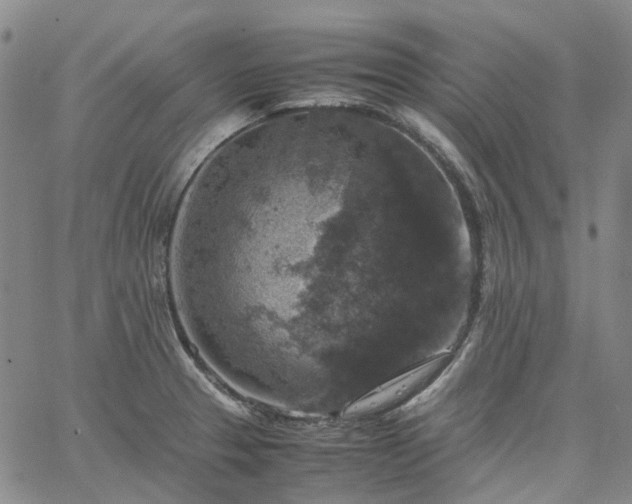 X0000067891329200604201259