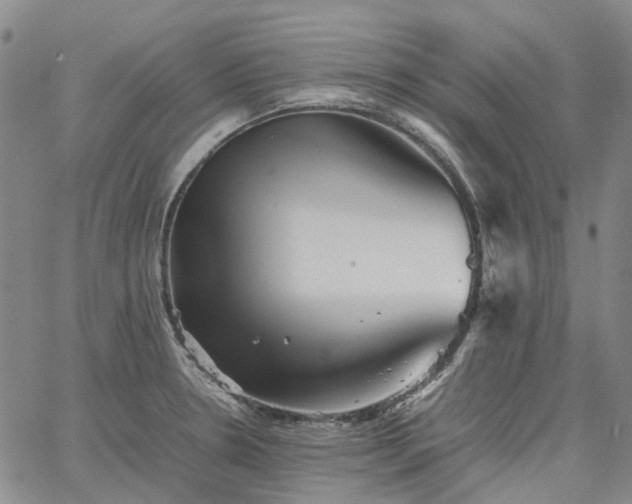 X0000067891330200604201259