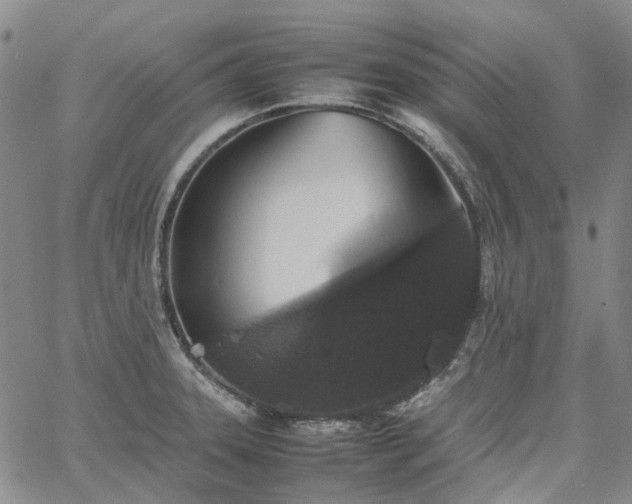 X0000067891331200604201259