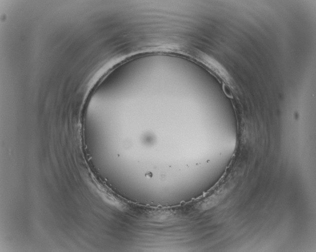 X0000067891332200604201259