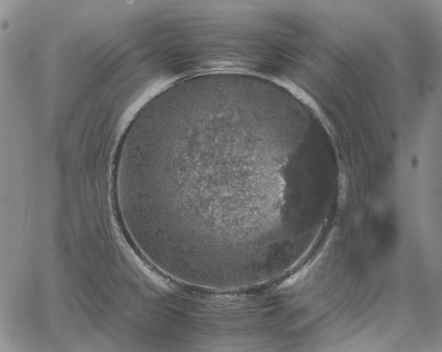 X0000067891333200604201259