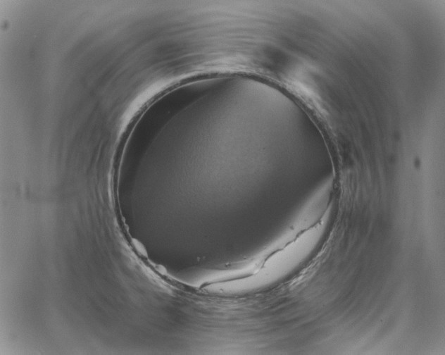 X0000067891334200604201259