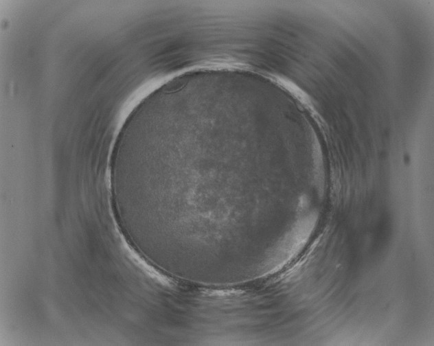 X0000067891335200604201259