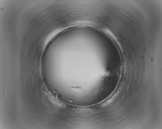 X0000067891336200604201259