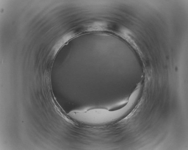 X0000067891337200604201259