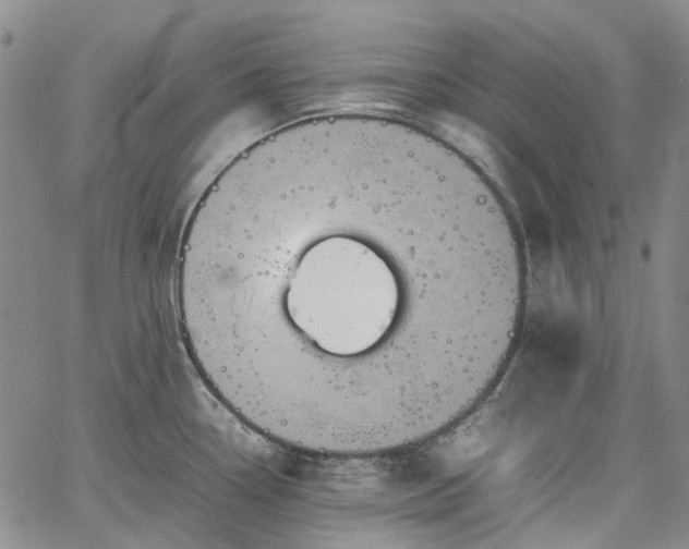 X0000067891338200604201259