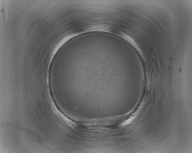 X0000067891339200604201259