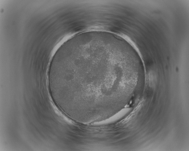 X0000067891341200604201259