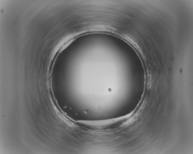 X0000067891342200604201259