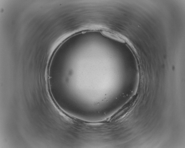 X0000067891343200604201259