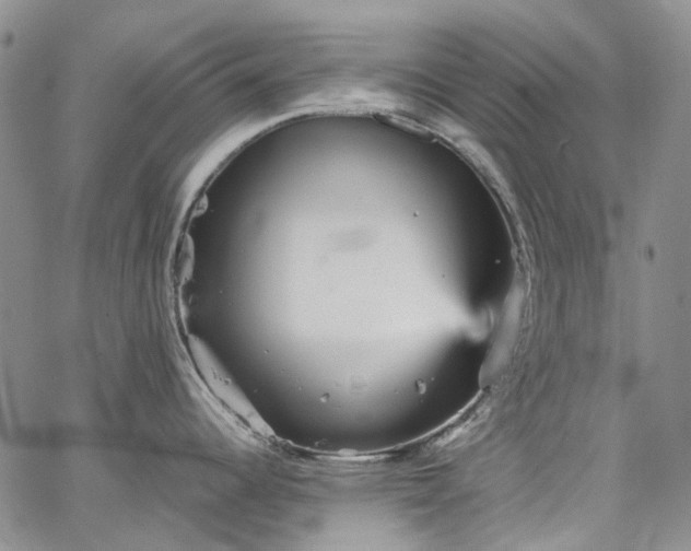 X0000067891344200604201259