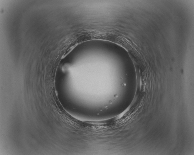 X0000067891345200604201258