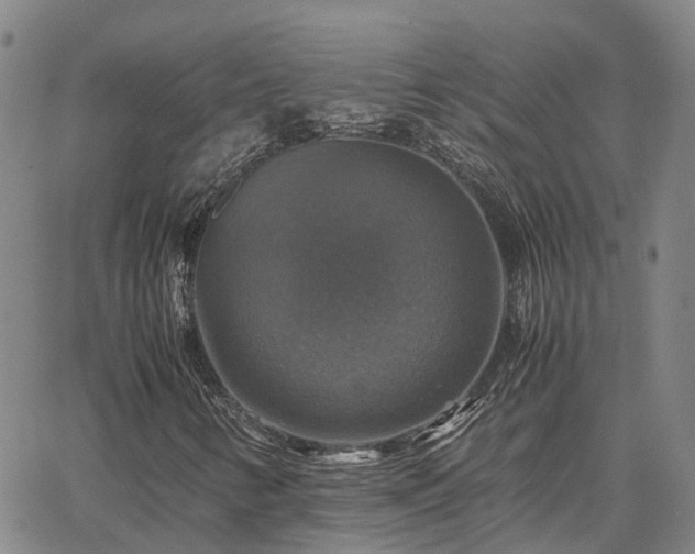 X0000067891346200604201258