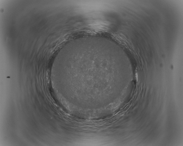 X0000067891347200604201258