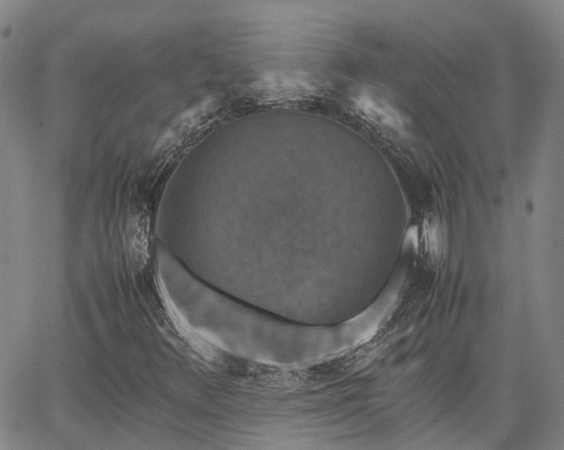 X0000067891348200604201258