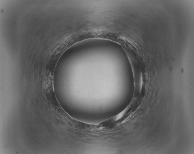 X0000067891349200604201258