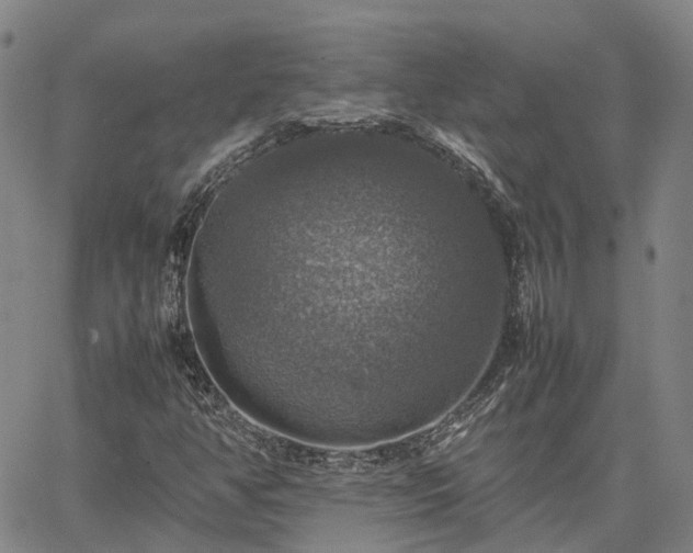 X0000067891350200604201258