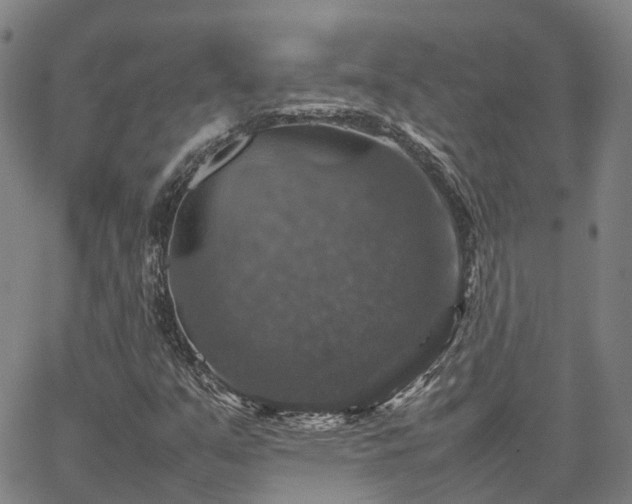 X0000067891351200604201258