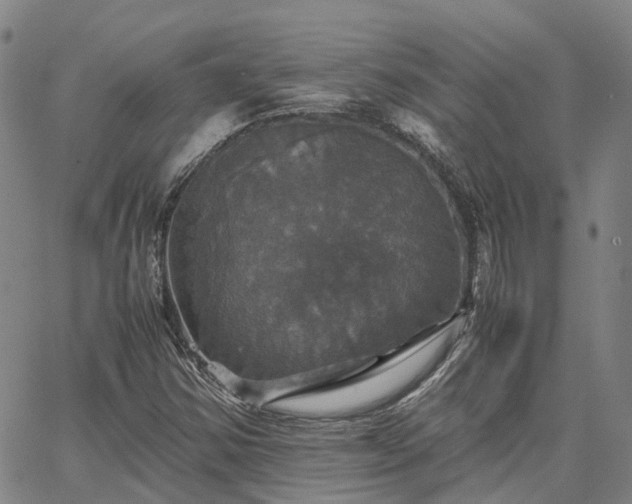 X0000067891354200604201258